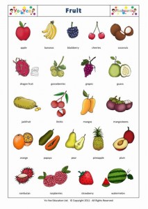  Fruit 