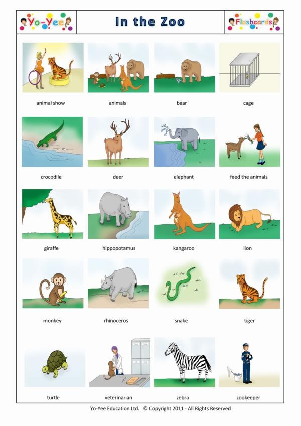 Zoo Animal Flash Cards for Kids and Toddlers