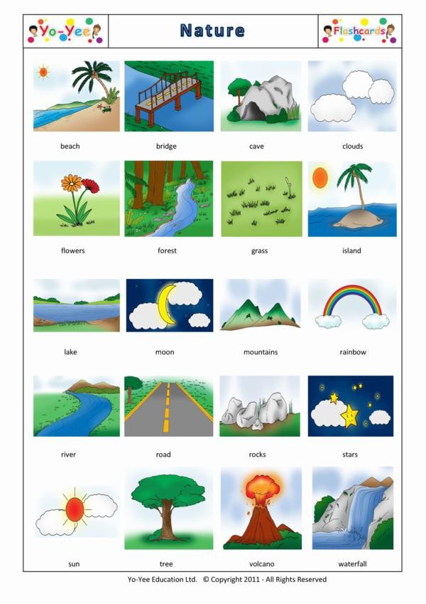 Nature flashcards for children | Nature | Teaching nature vocabulary