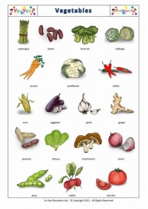  Vegetables 