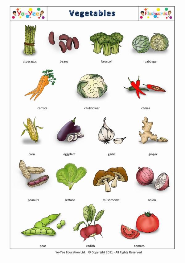 Vegetables and Health Food Flashcards - English Vocabulary Cards