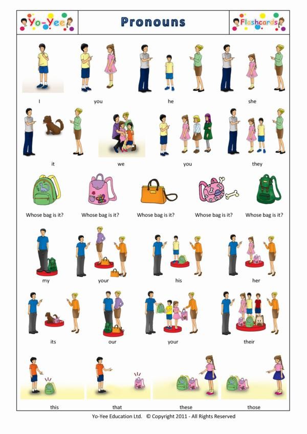 Possessive Pronouns Flashcards for Children
