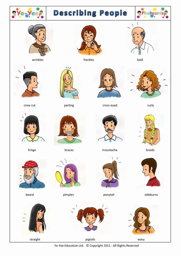 describing people flash cards for kids